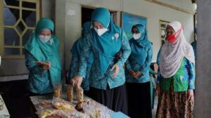 Pokja 2 TP PKK Kota Metro di dampingi oleh ibu Ketua TP PKK Kota, melakukan upaya pemetaan produk UP2K di wilayah Metro Utara
